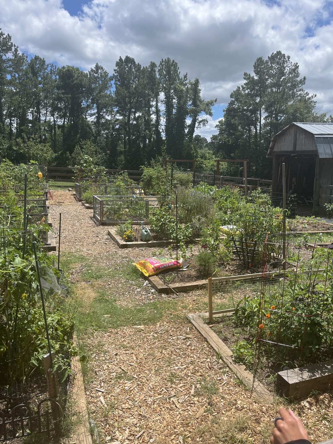 Raised garden beds, paths, vegetation, and a field structure in an Atlanta garden